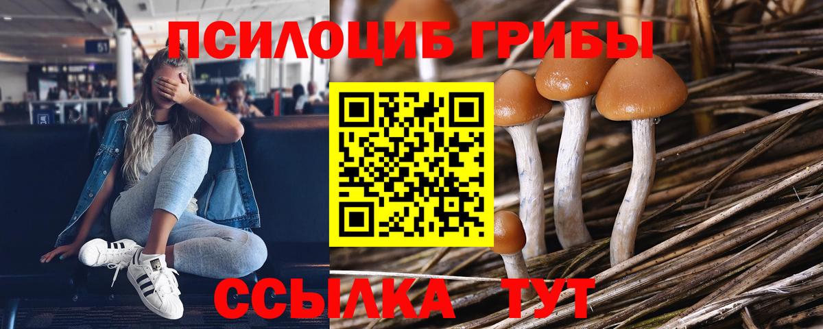 Галлюциногенные грибы Psilocybe  Вход с VPN  Канаш 