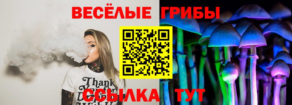 Псилоцибиновые грибы мухоморы Канаш
